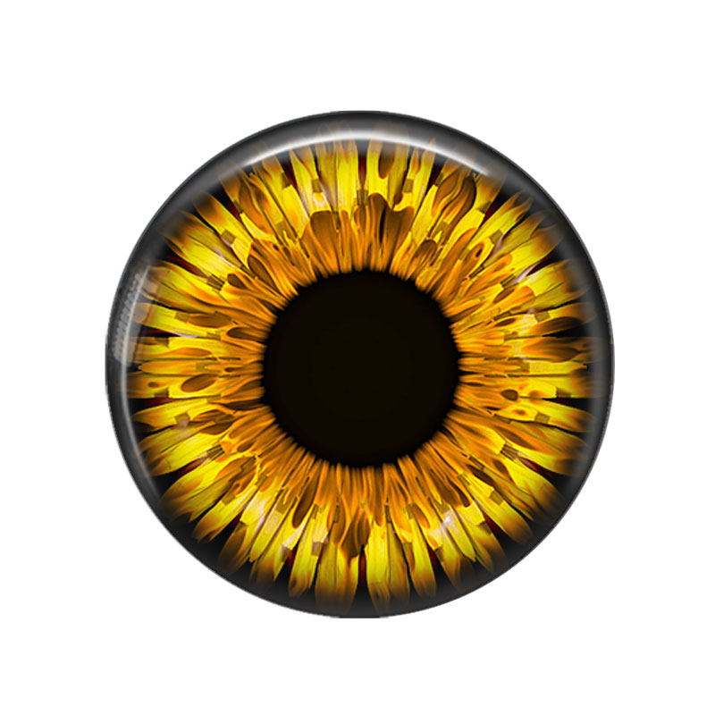 In Paris Spielzeug Augen Drach – Jewelry Making Paris Bewertung und Preis